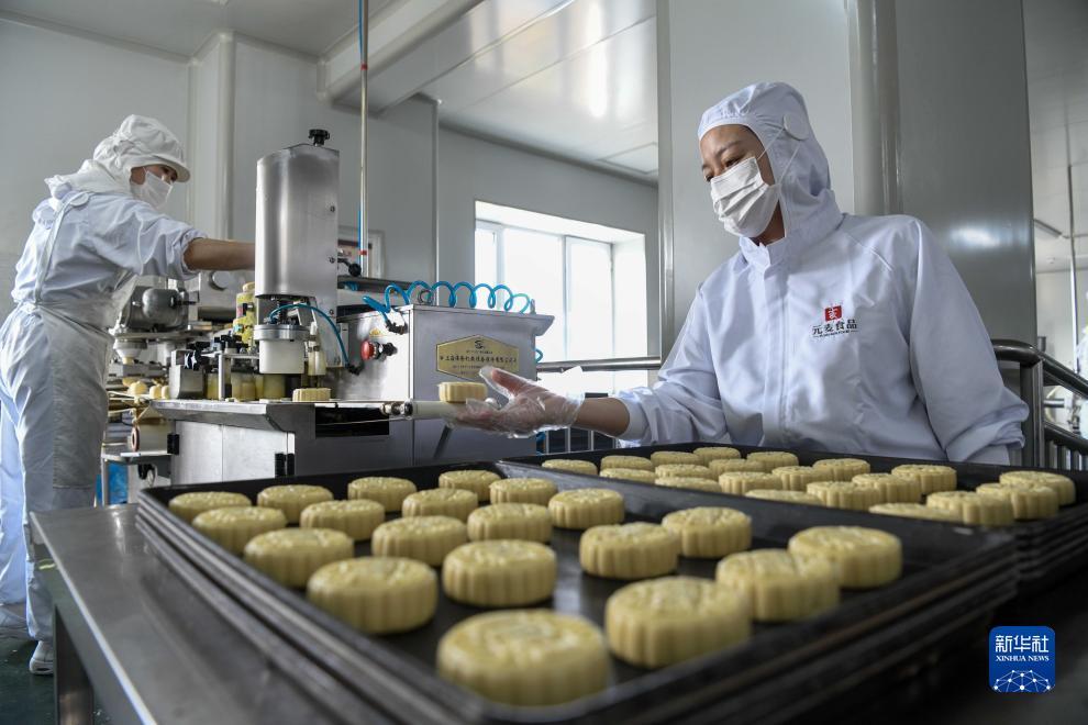 白菜网大全论坛